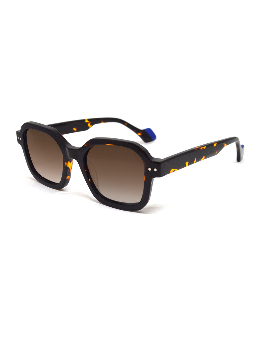Leto  Tortoise with Brown Gradient Lenses